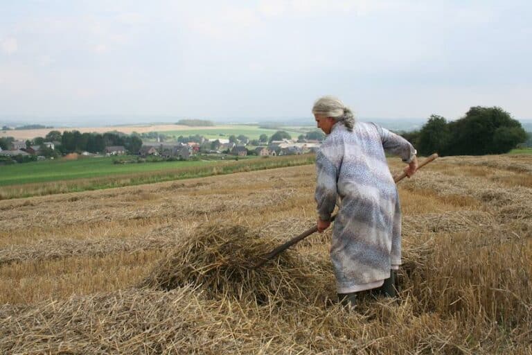 , Pourquoi transmettre dans un livre ses mémoires d&rsquo;agriculteur à ses enfants