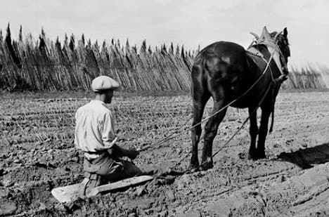 , Pourquoi transmettre ses mémoires d&rsquo;agriculteur à ses enfants