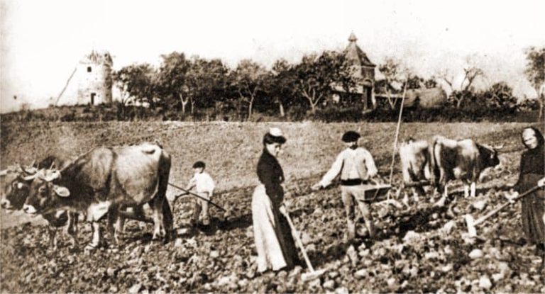 , Pourquoi transmettre dans un livre ses mémoires d&rsquo;agriculteur à ses enfants