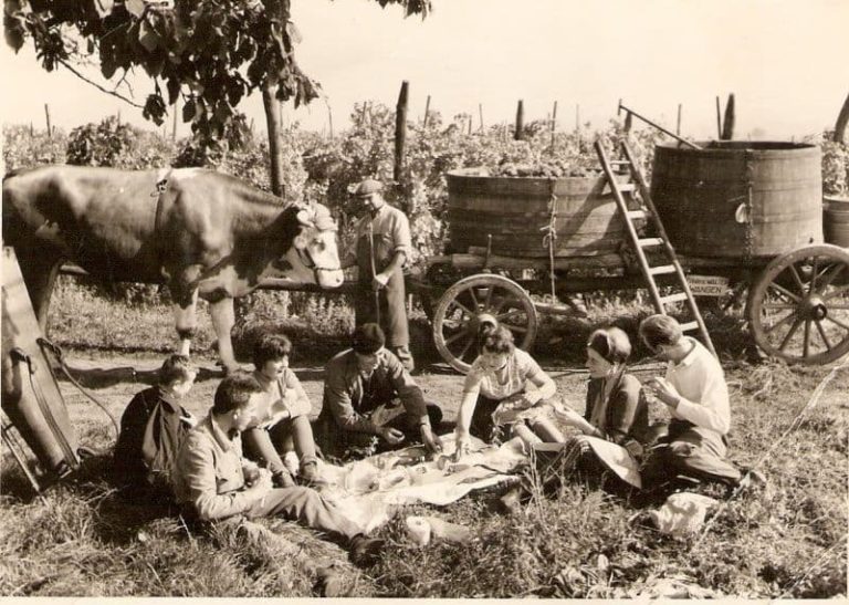 , Pourquoi transmettre dans un livre ses mémoires d&rsquo;agriculteur à ses enfants