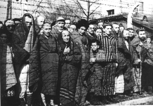 , Transmettre à sa famille et éditer ses mémoires de la Shoah