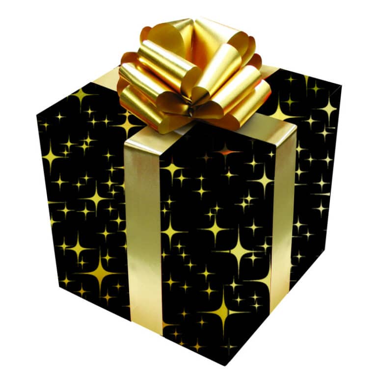 prix biographie, Le prix d&rsquo;une biographie, le coût d&rsquo;une vie ?